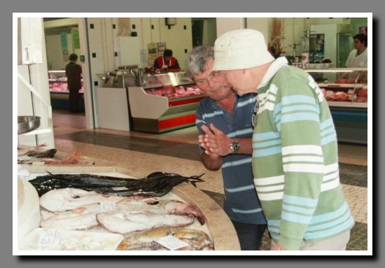 Lagos Fish Market